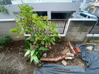 【庭】 | 水野のお家