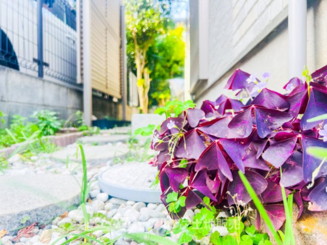 ~日野万願寺~Renovated Homeの庭|【garden】
◆ガーデニングを楽しむ◆草木に囲まれる趣味の空間。。お花や家庭菜園にお子様や奥様の笑い声が、楽しそうなその声に癒しを住んでよかったがそこにあります。
