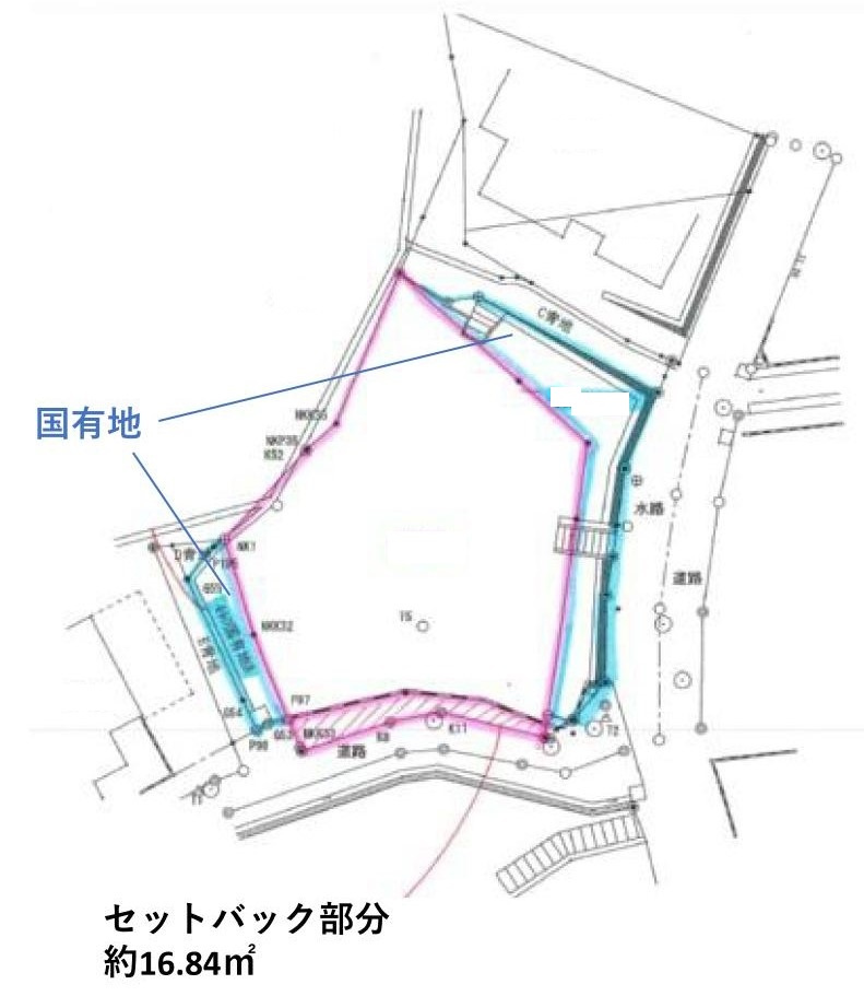 自然溢れる住環境　スローライフを楽しめそうの土地図|変形地