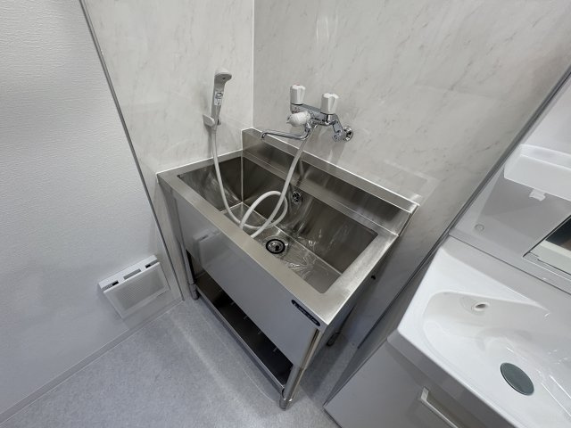 Cozy鈴東ハイツⅡの独立洗面台