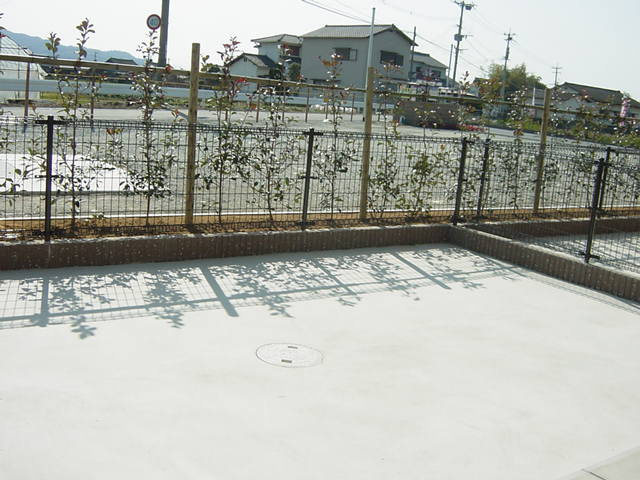 エバーグリーン国武のその他|専用庭