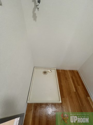 ドミール・ブランのその他