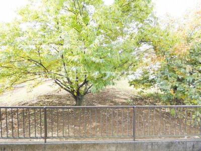 【展望】 | コートピアM