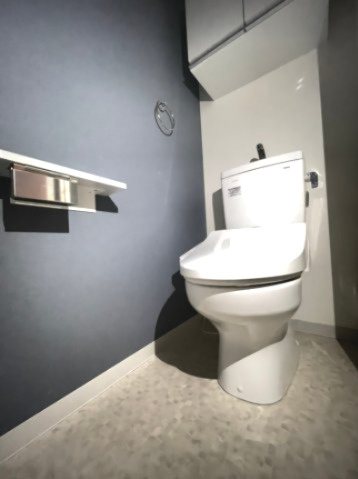 エヌエムサンカンテキャトフB棟のトイレ