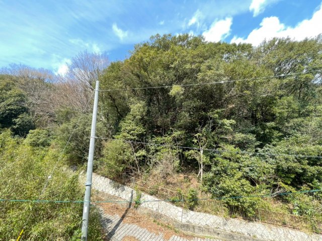 エヌエムサンカンテキャトフB棟の展望