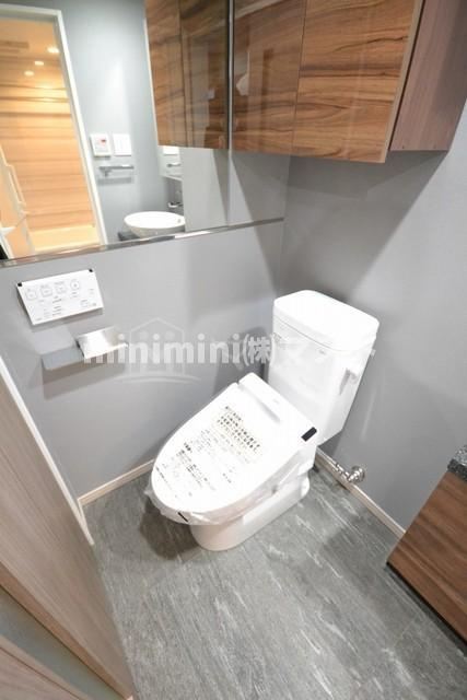 大阪市西区川口１丁目の賃貸マンションのトイレ