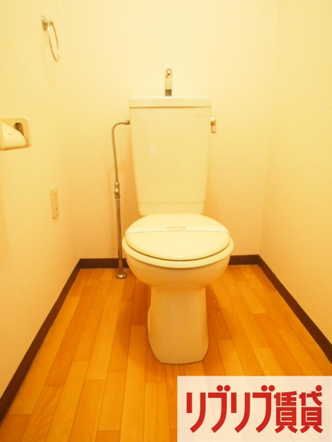 ヴェルドミールのトイレ