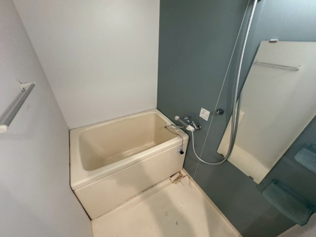 Fortuney北堀江の浴室