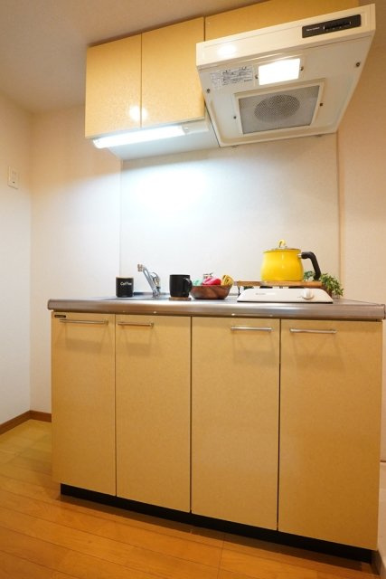 リクレイシア西麻布Ⅰ番館のキッチン|※家具家電小物はイメージです