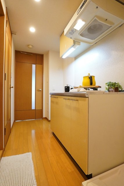 リクレイシア西麻布Ⅰ番館のキッチン|※家具家電小物はイメージです