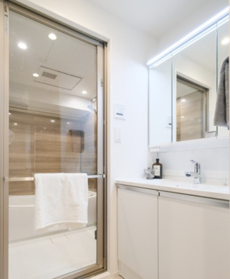 【独立洗面台】 | 日神デュオステージ蔵前NEXT