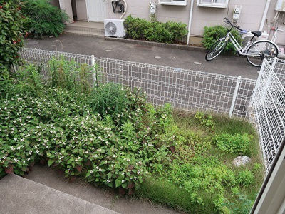 【その他】 | シルバンブリーズ