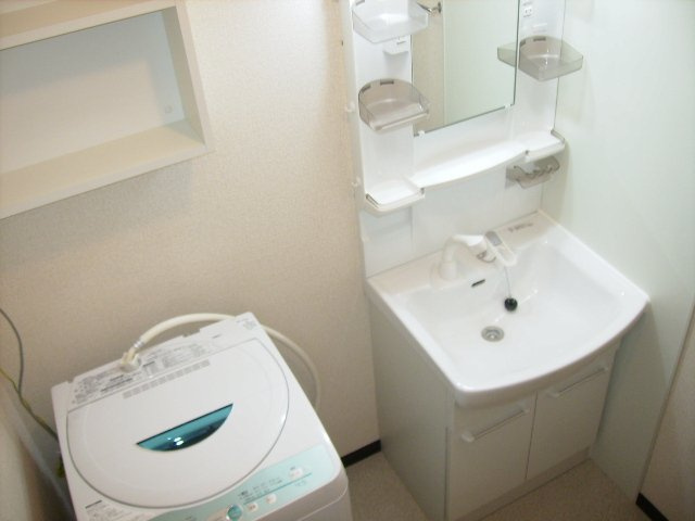 レオネクストウェルハイム南大塚の内装|独立洗面台