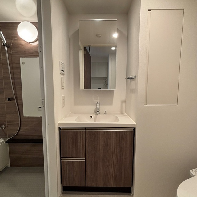 パークアクシス品川天王洲アイルの洗面所|※写真は同タイプ住戸です。