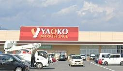 レオパレスキャンサーの周辺