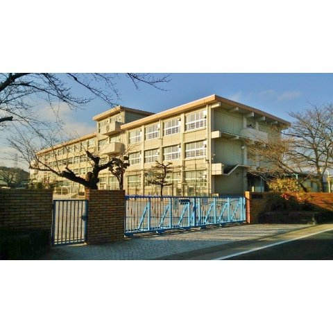 岐阜市中２丁目の一戸建ての周辺|西郷小学校