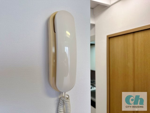 蒲田弐番館 205号室のセキュリティ