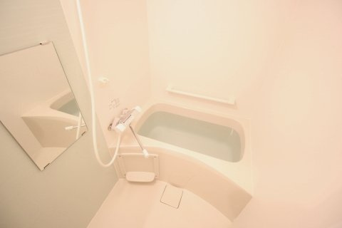 ミランダセレブⅡの浴室