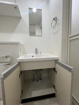 【独立洗面台】 | レオンコンフォート谷町六丁目 | レオンコンフォート谷町六丁目　独立洗面台