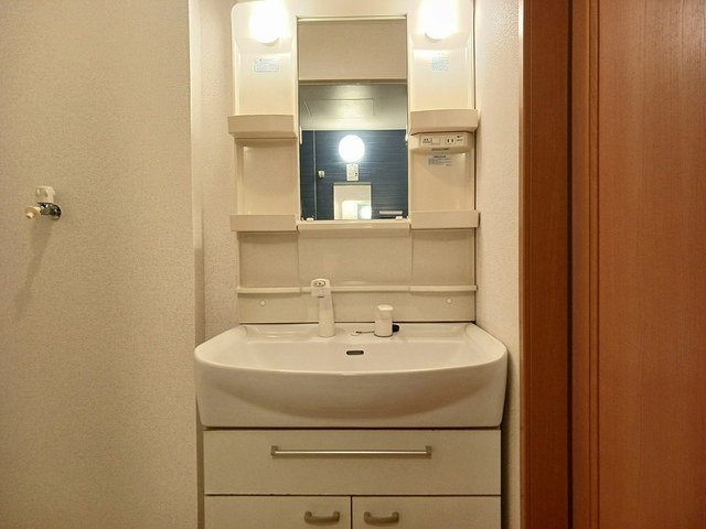 ラフィネの洗面所