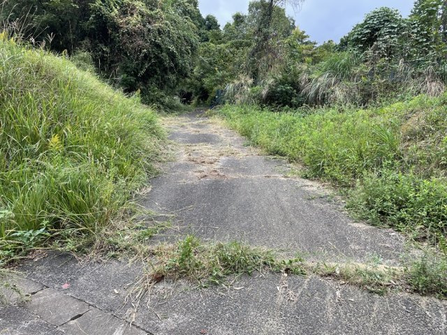 糟屋郡新宮町大字立花口137-20