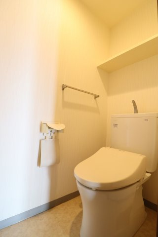 ダイアパレス六ツ門のトイレ|落ち着いた色調のトイレです