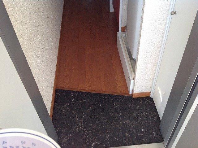 レオパレスコトブキ　Ｃの玄関|落ち着いた玄関です