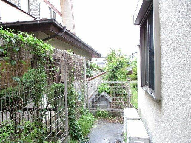 カミノマザーキミの展望