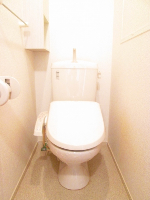 秋桜　２０１１　Ａのトイレ|トイレ