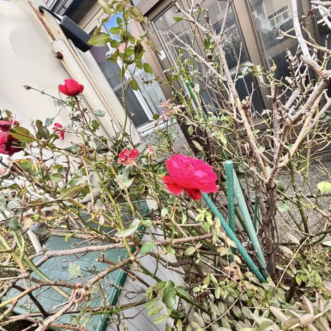 室蘭市みゆき町1丁目2-15戸建のその他