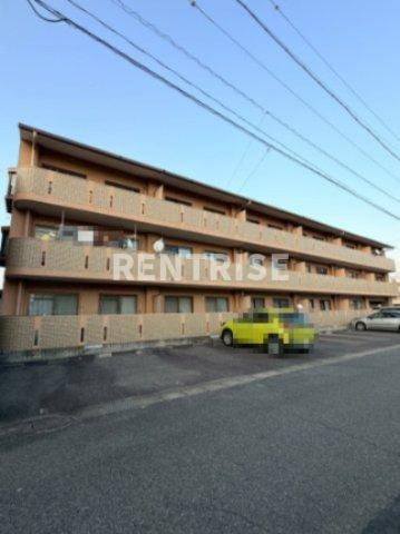 ピュアストリート