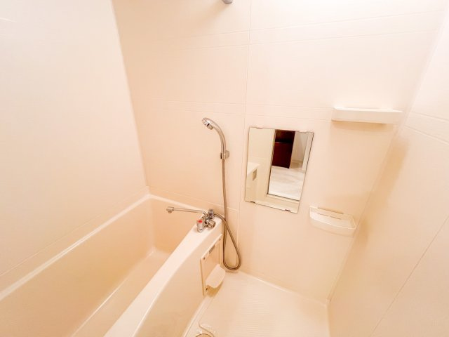 レオンコンフォート難波西の浴室