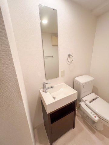 レオンコンフォート難波西の洗面所