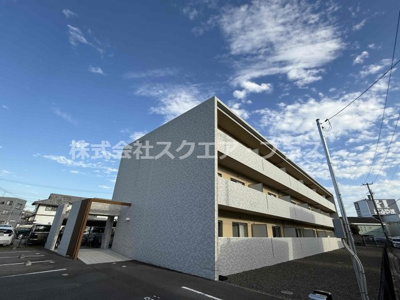 【外観】 | ナトリウム