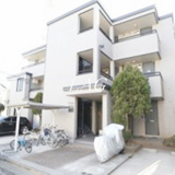 リファイン桜の画像