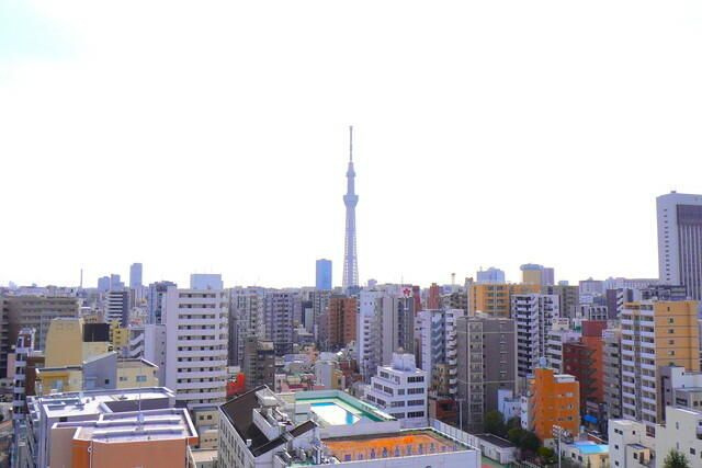 オープンブルーム入谷Ｅａｓｔの展望