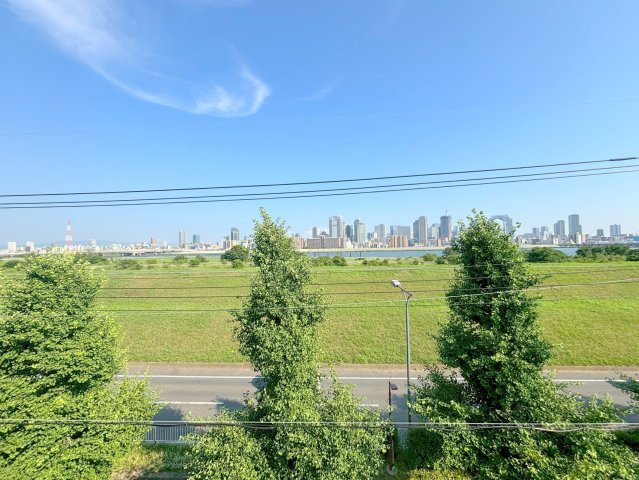 セルシール木川の展望