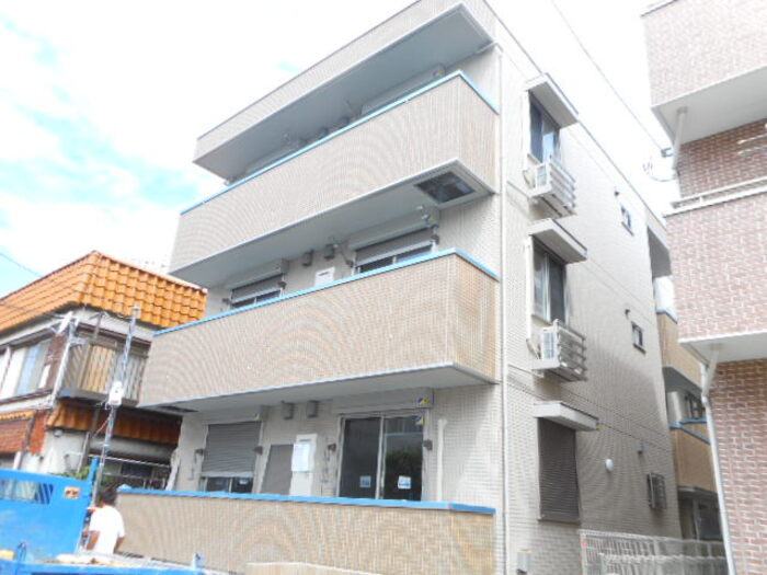 プラムブロッサム　サウス