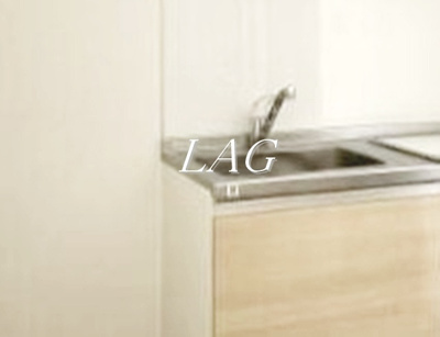 【その他】 | コルビジェ２ | シンクです。