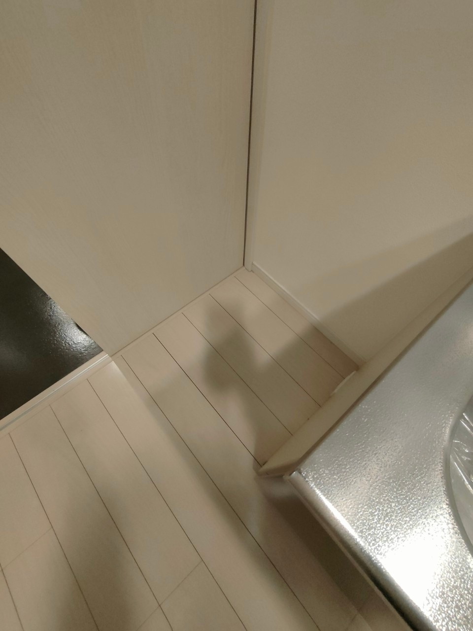 Celeste　五女子(セレステゴニョシ)　名古屋市賃貸　仲介手数料無料の設備