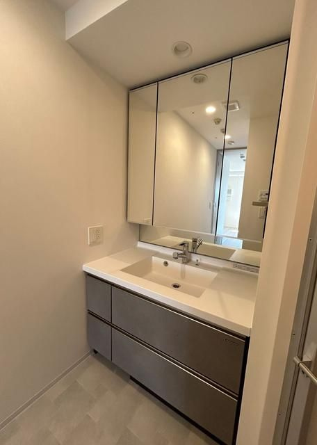 ブランシエスタ上野の洗面所