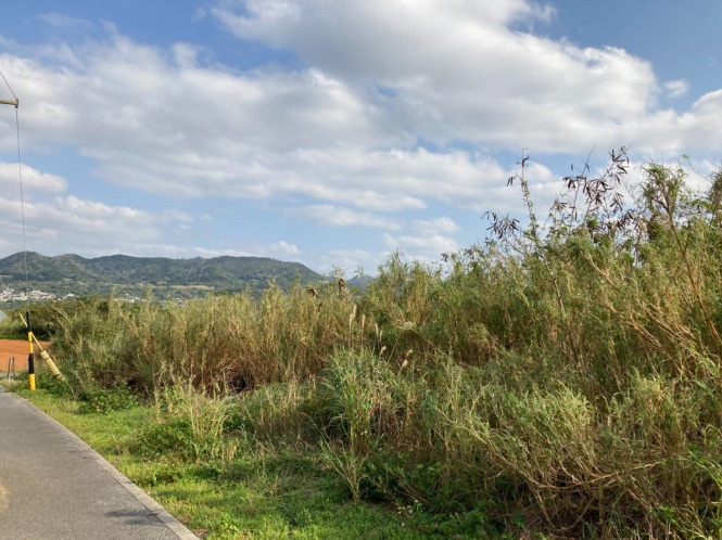 ☆本部町瀬底土地の外観