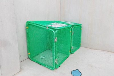 【その他共用部分】 | Ｂｌｏｏｍ鴨居