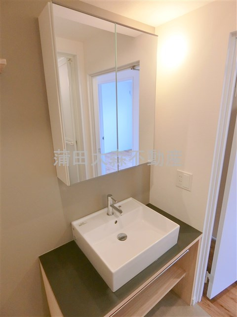 レジデンス多摩川西六郷の洗面所