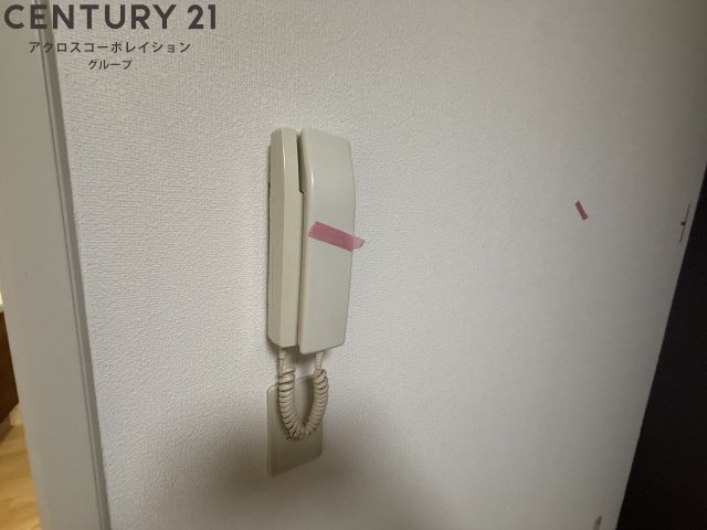 床色が明るい色合いでとても綺麗です！