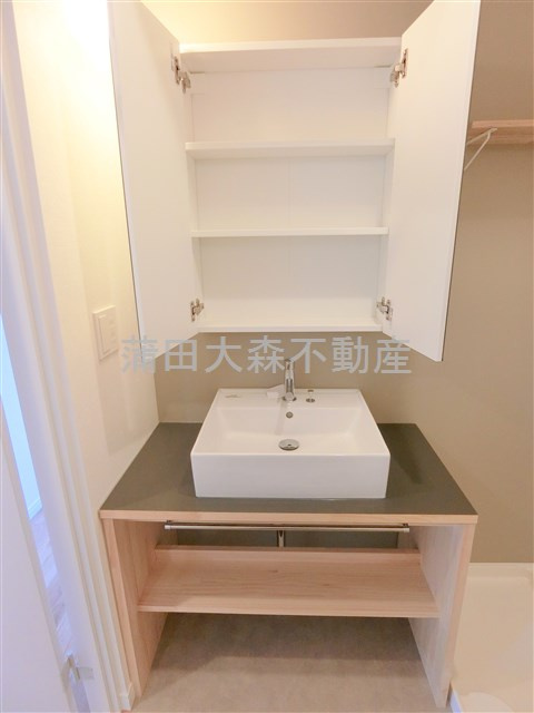 レジデンス多摩川西六郷の洗面所