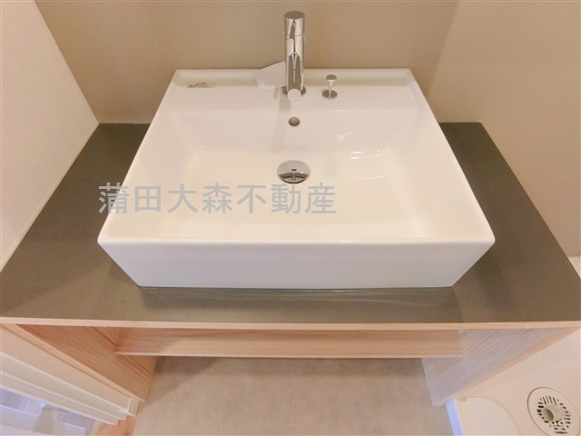 レジデンス多摩川西六郷の洗面所