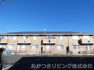 グランデルガールBの画像