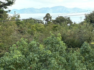 【展望】 | 木々越しに琵琶湖も見えます