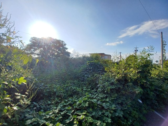 宇土市立岡町の売地